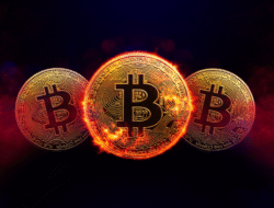 Bitcoin Whale Makin Gencar! Jumlah Alamat Rekor Tertinggi Sepanjang Masa Terpecahkan!