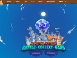 Mau Cuan dari Main Game? Ini Rahasia Main Axie Infinity untuk Pemula!