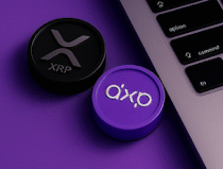DeXRP Cetak Sejarah! Raup 6,5 Juta, Jadi DEX Pertama di XRPL yang Bikin Heboh!