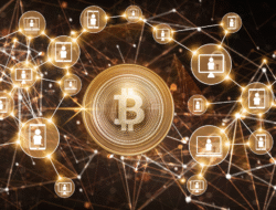 Bitcoin Tak Tergoyahkan! Institusi Masih Serbu Meski Deleveraging Melanda
